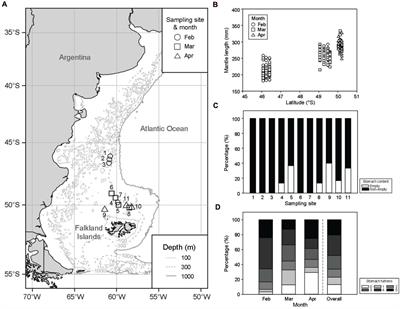 Dietary Shifts and Risks of Artifact Ingestion for Argentine Shortfin Squid Illex argentinus in the Southwest Atlantic